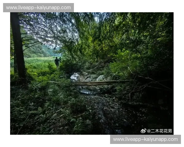 徒步新闻：山野里的每日头条